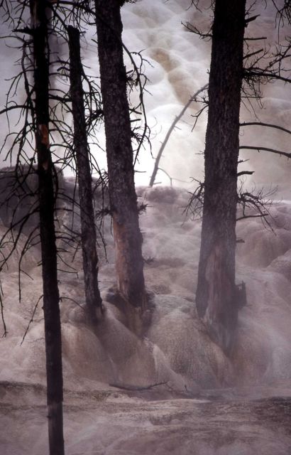 New Highland Terrace - Mammoth Hot Springs Picture