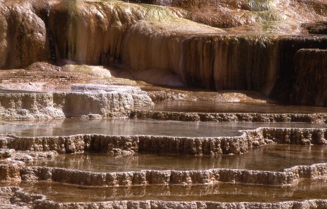 Opal Terrace - Mammoth Hot Springs Picture