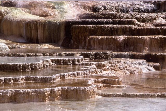Opal Terrace - Mammoth Hot Springs Picture