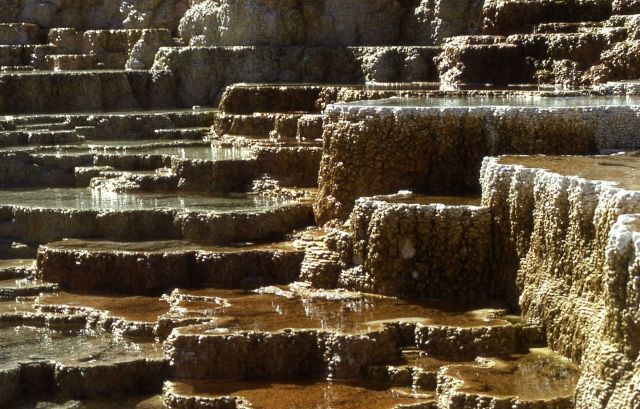 Minerva Terrace - Mammoth Hot Springs Picture