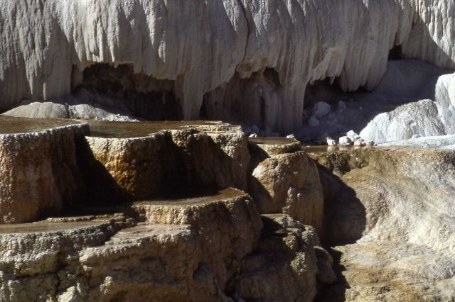 Minerva Terrace - Mammoth Hot Springs Picture