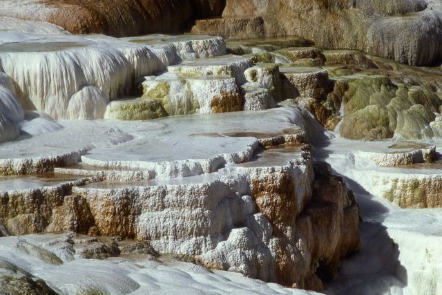 Minerva Terrace - Mammoth Hot Springs Picture