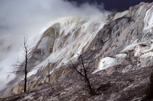 Main Terrace - Mammoth Hot Springs Picture