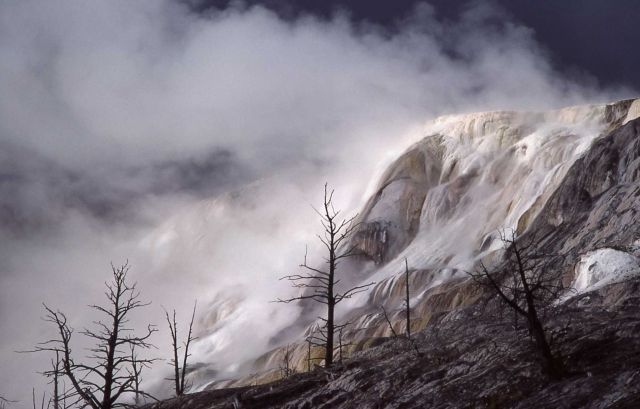 Main Terrace - Mammoth Hot Springs Picture