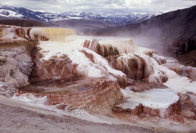 Minerva Hot Spring - Mammoth Hot Springs Picture