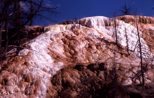 Highland Hot Spring - Mammoth Hot Springs Picture