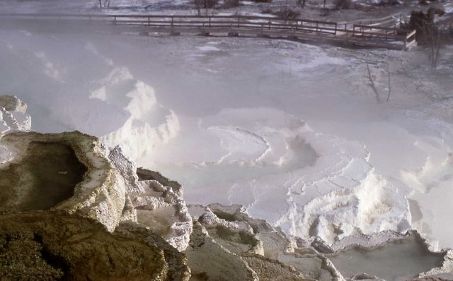 Jupiter Terrace - Mammoth Hot Springs Picture