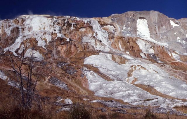 Jupiter Terrace & Spring - Mammoth Hot Springs Picture
