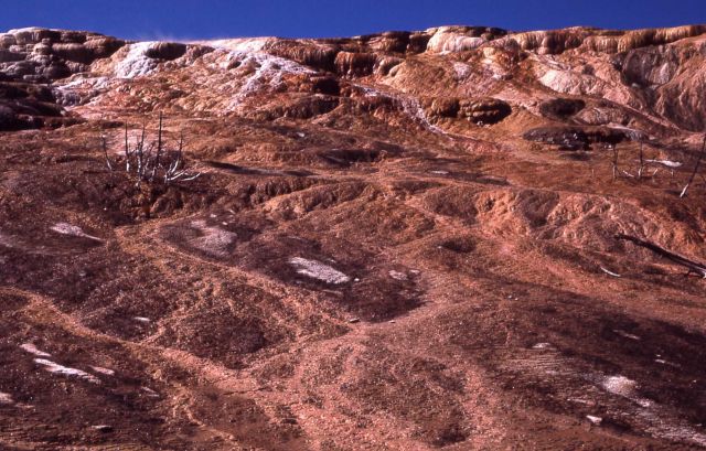 Jupiter Terrace & Spring - Mammoth Hot Springs Picture