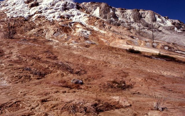 Jupiter Terrace & Spring - Mammoth Hot Springs Picture