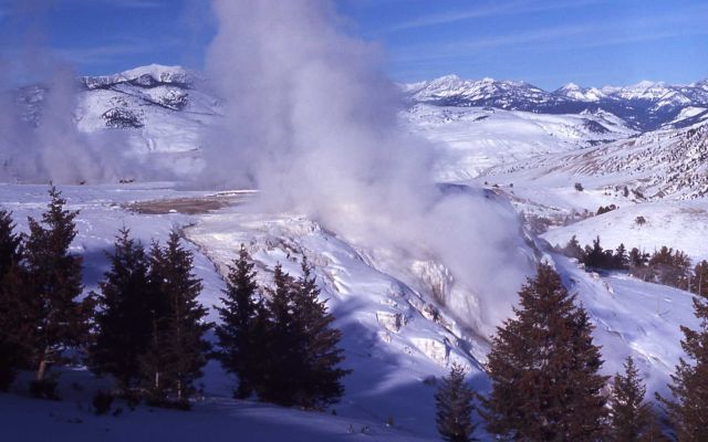 Jupiter Terrace & Spring - Mammoth Hot Springs Picture