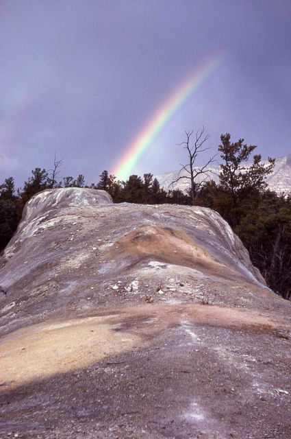 White Elephant Back Terrace - Mammoth Hot Springs Picture