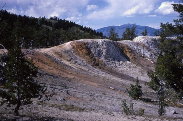 White Elephant Back Terrace - Mammoth Hot Springs Picture