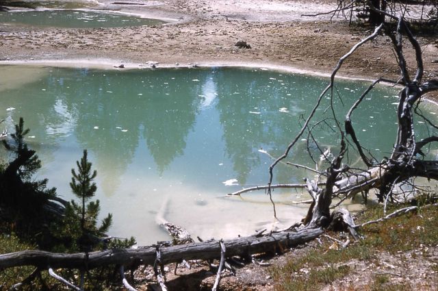 A spring in River Group - Hot Springs, Midway & Lower Geyser Basin Picture