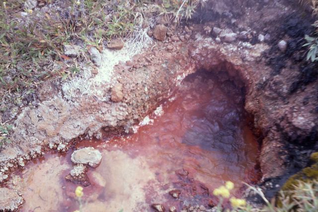 Red Sand Spring - Rabbit Creek - Hot Springs, Midway & Lower Geyser Basin Picture