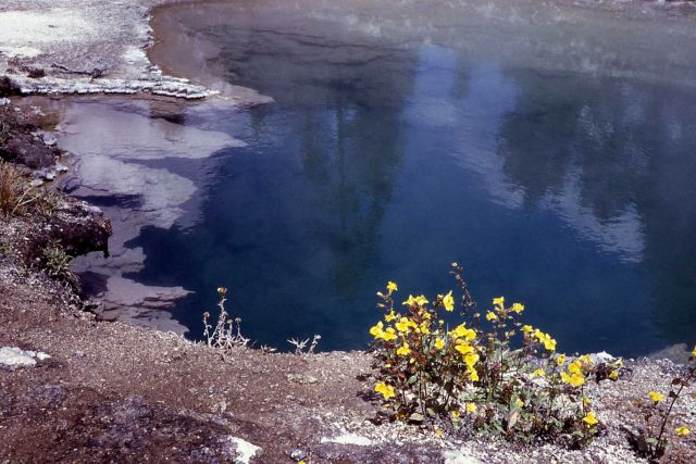 Hot spring - Rabbit Creek - Midway & Lower Geyser Basin Picture