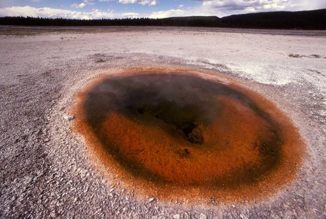 Spring near Fountain Paint Pots - Hot Springs, Midway & Lower Geyser Basin Picture