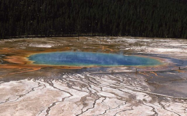 Grand Prismatic Spring from bluff across trail - Hot Springs, Midway & Lower Geyser Basin Picture