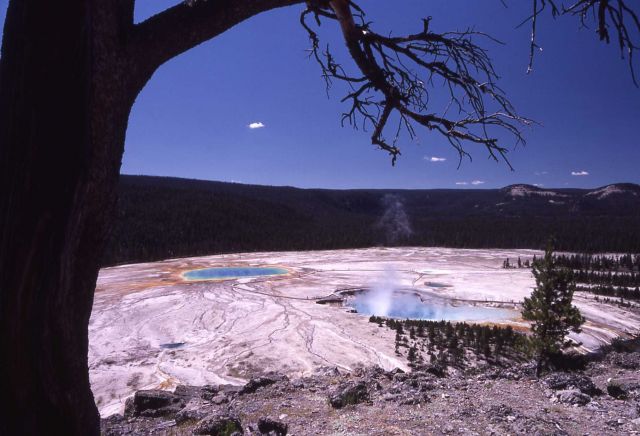 Grand Prismatic Spring - Hot Springs, Midway & Lower Geyser Basin Picture