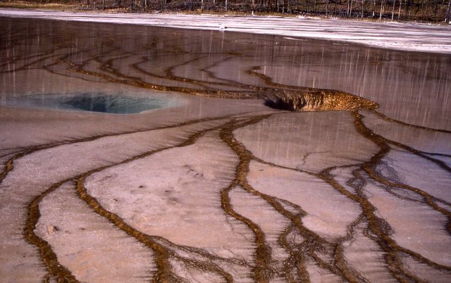 Grand Prismatic Spring - Hot Springs, Midway & Lower Geyser Basin Picture