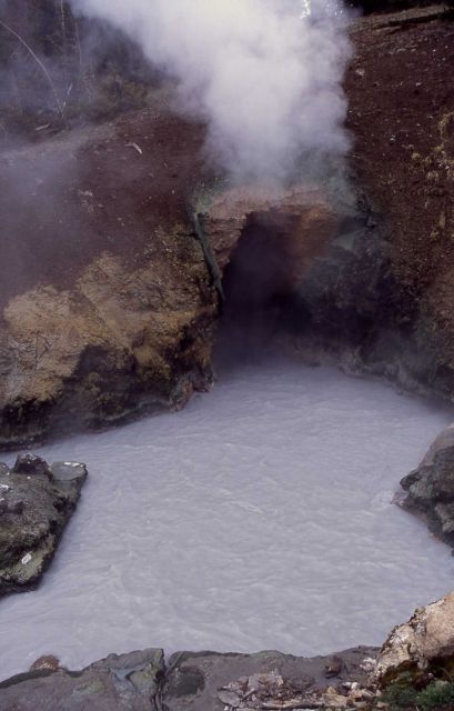 Dragon's Mouth Spring - Hot Springs, Mud Volcano area Picture
