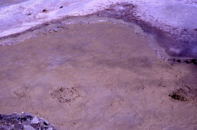 Sulphur Caldron - Hot Springs, Mud Volcano area Picture