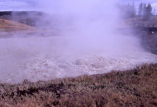 Churning Caldron - Hot Springs, Mud Volcano area Picture