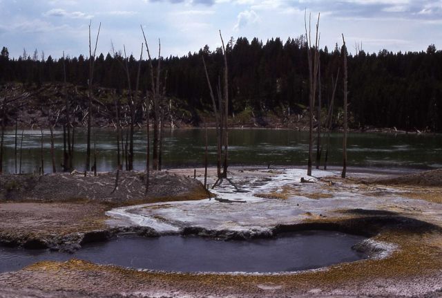 Sour Lake - Hot Springs, Mud Volcano area Picture