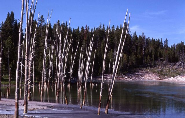Sour Lake - Hot Springs, Mud Volcano area Picture