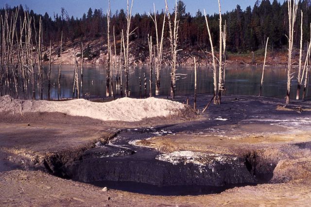 Sour Lake - Hot Springs, Mud Volcano area Picture