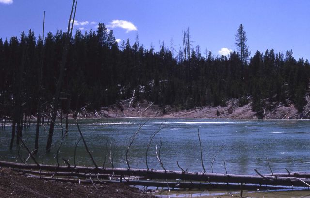 Sour Lake - Hot Springs, Mud Volcano area Picture