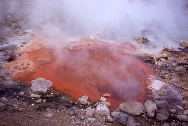 Vermillion Springs - Hot Springs, Mud Volcano area Picture