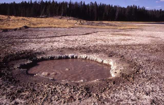 Acid mud pot, ph2, Obsidian Pool area - Hot Springs, Mud Volcano area Picture