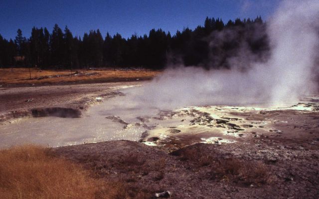Obsidian Pool area - acidic hot spring - Hot Springs, Mud Volcano area Picture