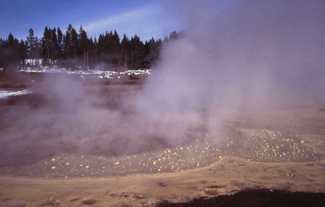 Moose Pool, ph2 80 C Sulfolobus habitat/bilfilms of S. acidocaldarius - Hot Springs, Mud Volcano area Picture