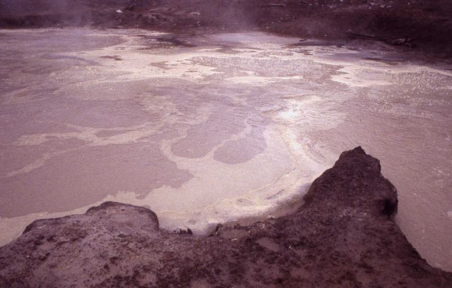 Moose Pool - acid habitat - Hot Springs, Mud Volcano area Picture