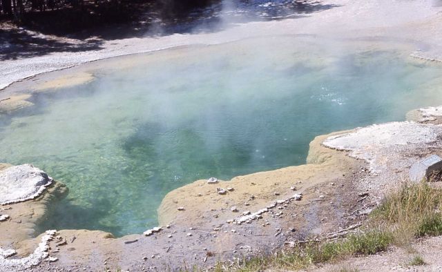 Emerald Spring - Hot Springs, Norris Geyser Basin Picture