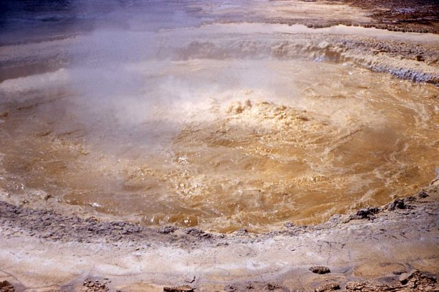 Evening Primrose Spring, following 1959 earthquake - Hot Springs, Norris Geyser Basin Picture