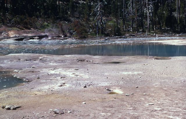 Crackling Lake - Hot Springs, Norris Geyser Basin Picture