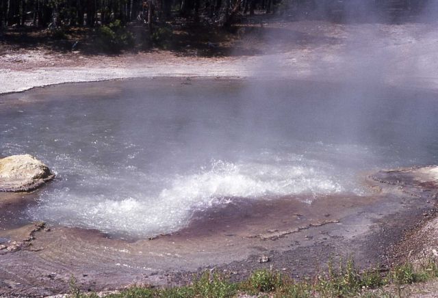 Emerald Spring - Hot Springs, Norris Geyser Basin Picture