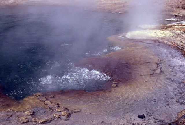 Emerald Spring - Hot Springs, Norris Geyser Basin Picture