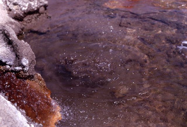 Firecracker Spring - Hot Springs, Norris Geyser Basin Picture