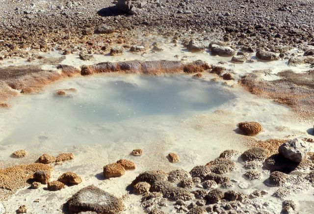 Unnamed hot spring near Lava Pool - Hot Springs, Norris Geyser Basin Picture
