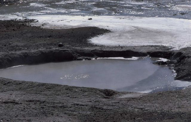 Pool in the Muddy Sneaker Complex - Hot Springs, Norris Geyser Basin Picture