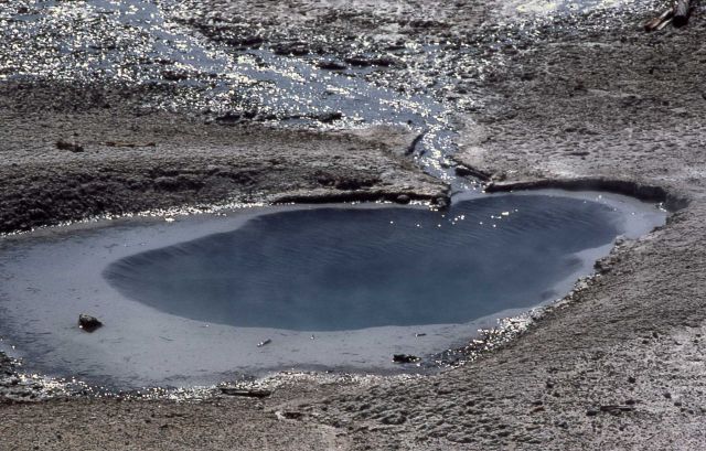 Pool/spring in the Tangled Root Complex - Hot Springs, Norris Geyser Basin Picture
