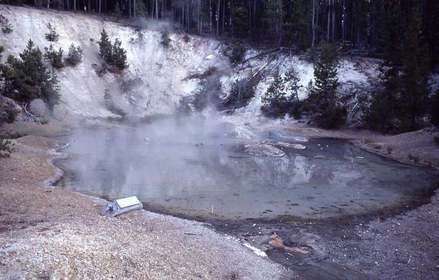 Monarch Geyser Crater - Hot Springs, Norris Geyser Basin Picture