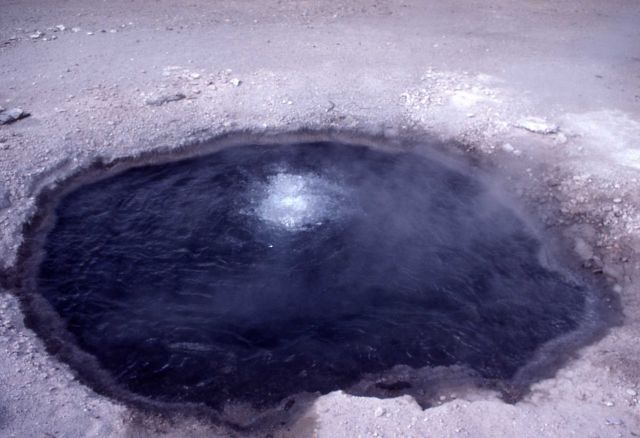 Fearless Geyser - Hot Springs, Norris Geyser Basin Picture