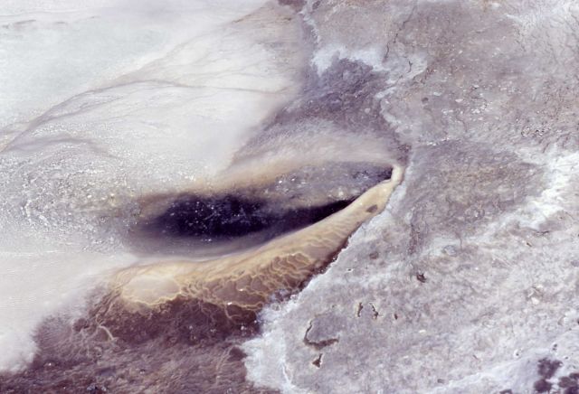 Porcelain Spring - Hot Springs, Norris Geyser Basin Picture