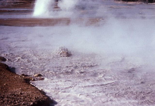 Colloidal Pool - Hot Springs, Norris Geyser Basin Picture