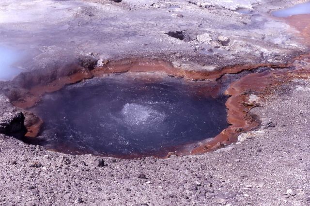 Primrose Spring, south - Hot Springs, Norris Geyser Basin Picture